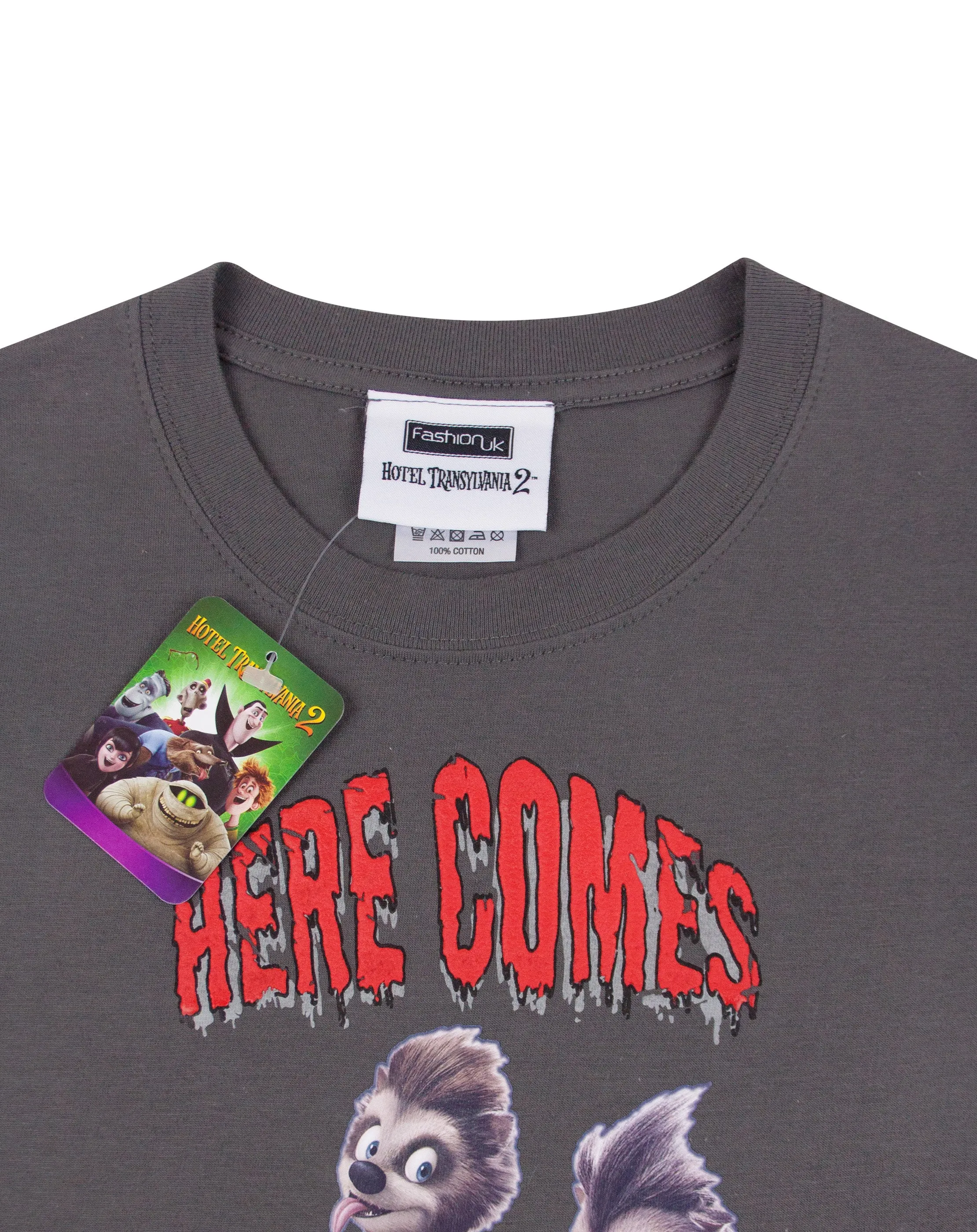 Hotel Transylvania Here Comes Trouble Boys Grey Short Sleeved T-Shirt